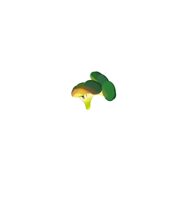 Brokkoli
