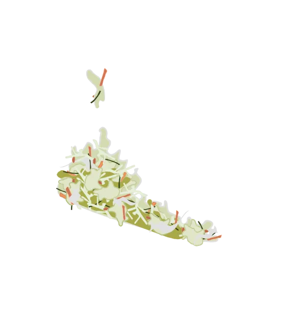Coleslaw