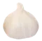 Knoblauch