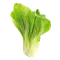 Pak-Choi