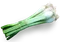 Lauchzwiebel